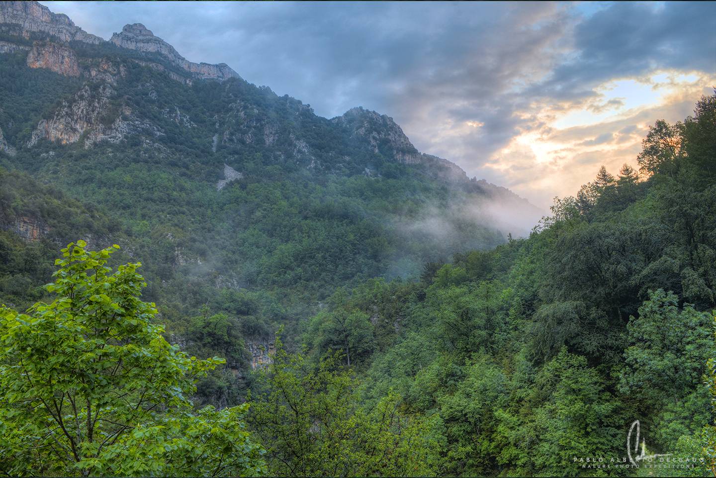 Fotografía de naturaleza en los Pirineos