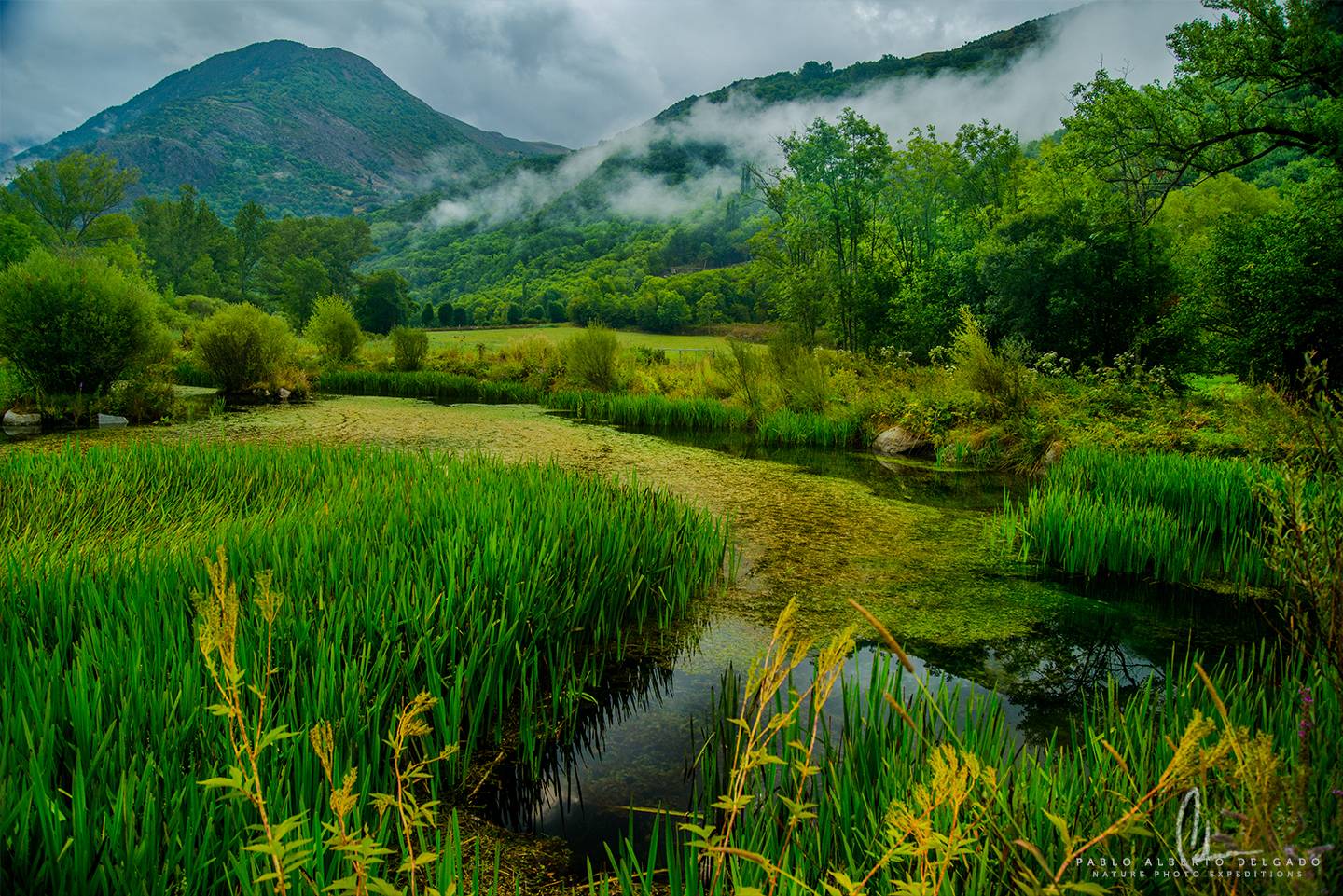 Fotografía de naturaleza en los Pirineos