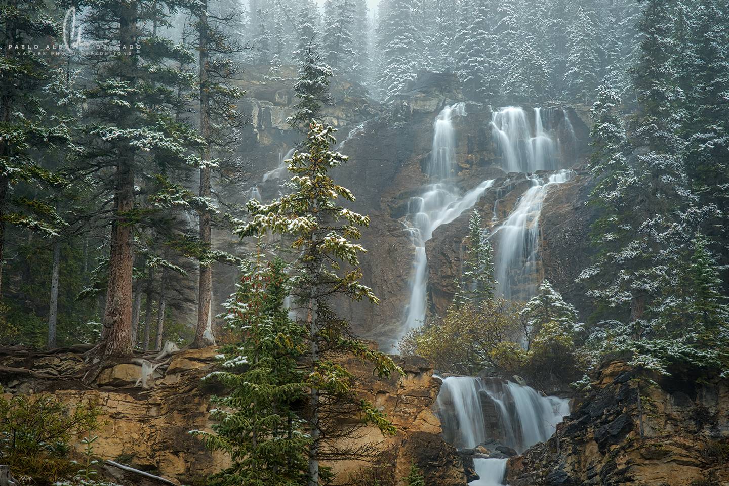 Fotografía de naturaleza en las Montañas Rocosas de Canadá