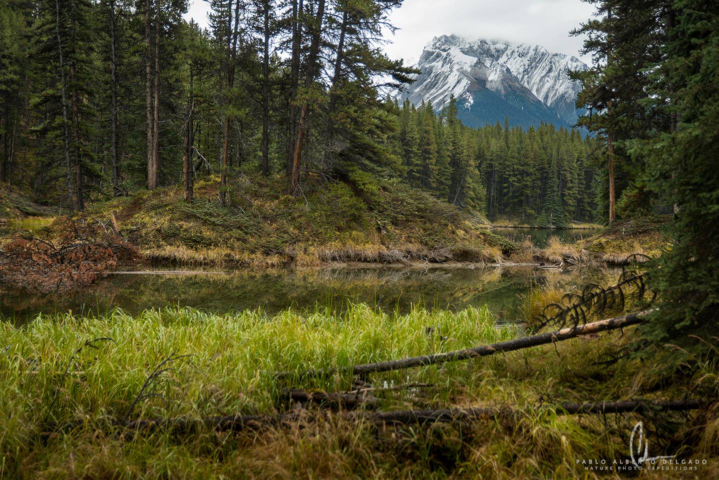 Fotografía de naturaleza en las Montañas Rocosas de Canadá